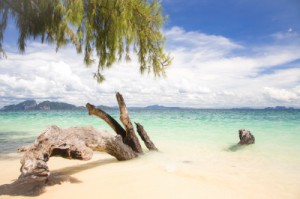 Tropical Beach