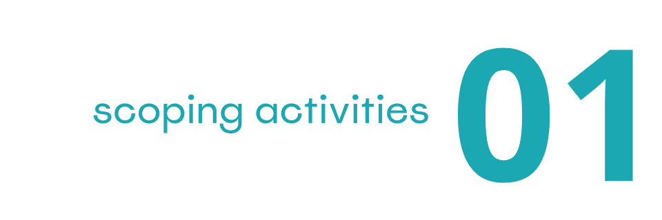 01 scoping activities